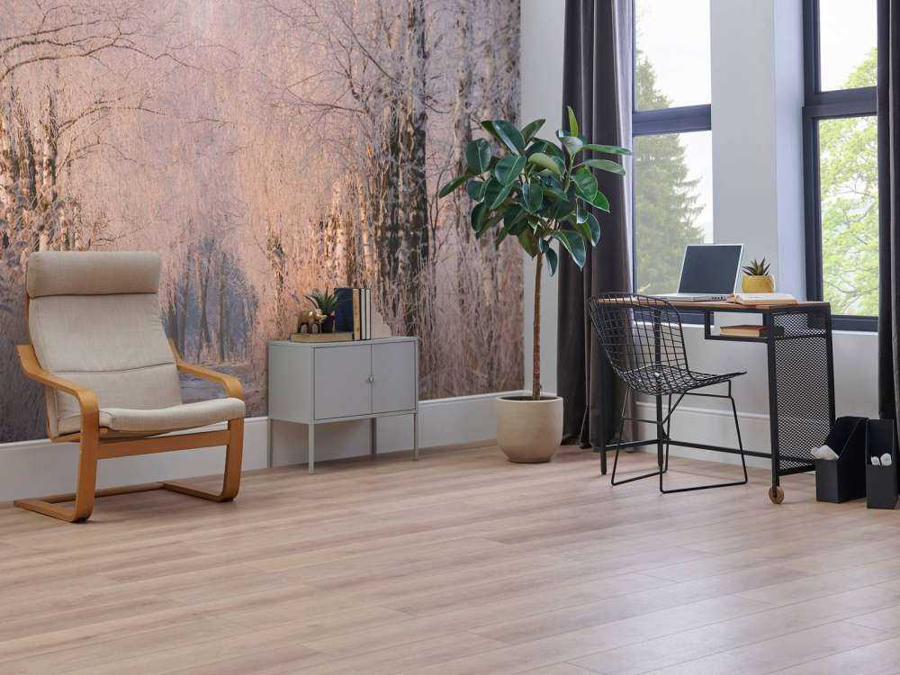 Bomenrij dans la brume d'hiver