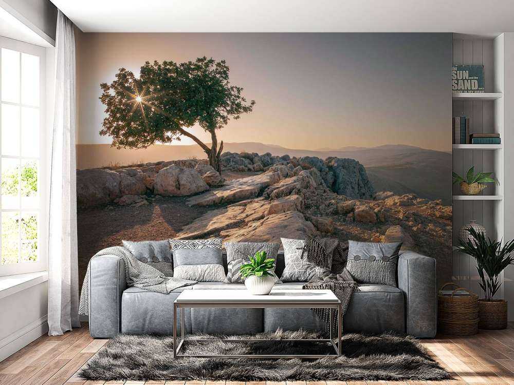 Arbre solitaire sur un paysage rocheux