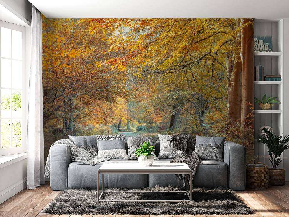 Forêt d’automne avec un feuillage doré
