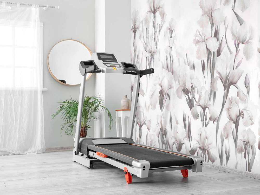 Les iris dansent un gris doux sans couture