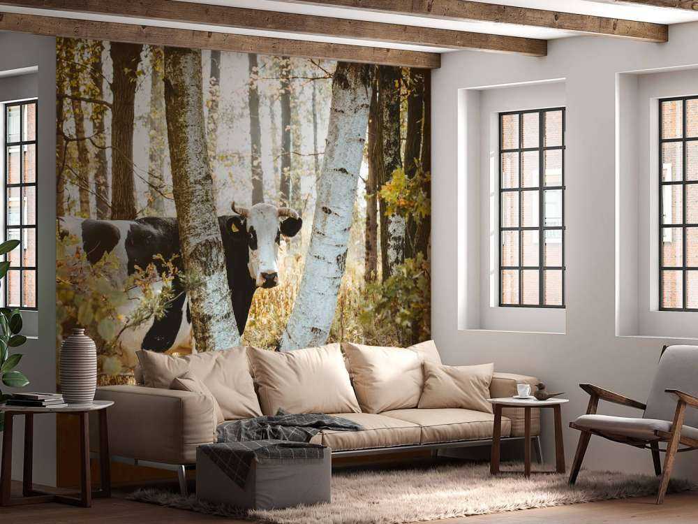 Vache curieuse dans la forêt