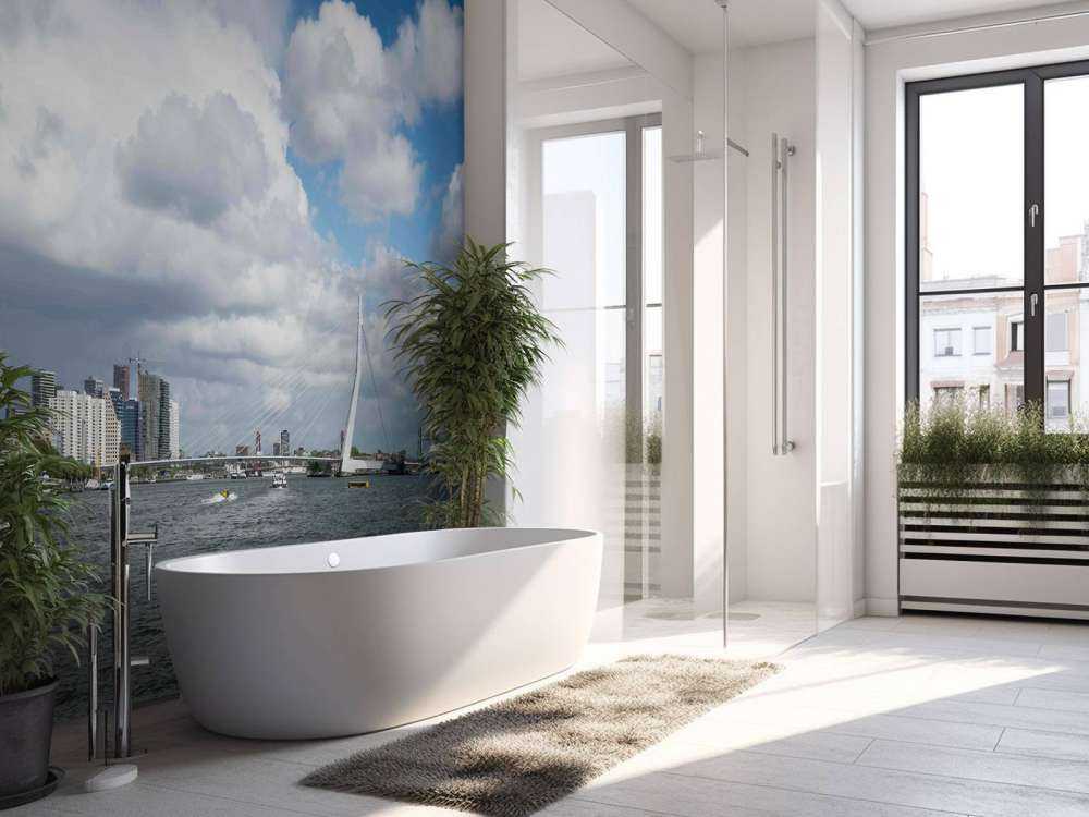 Vue de la ville avec le pont Erasmus