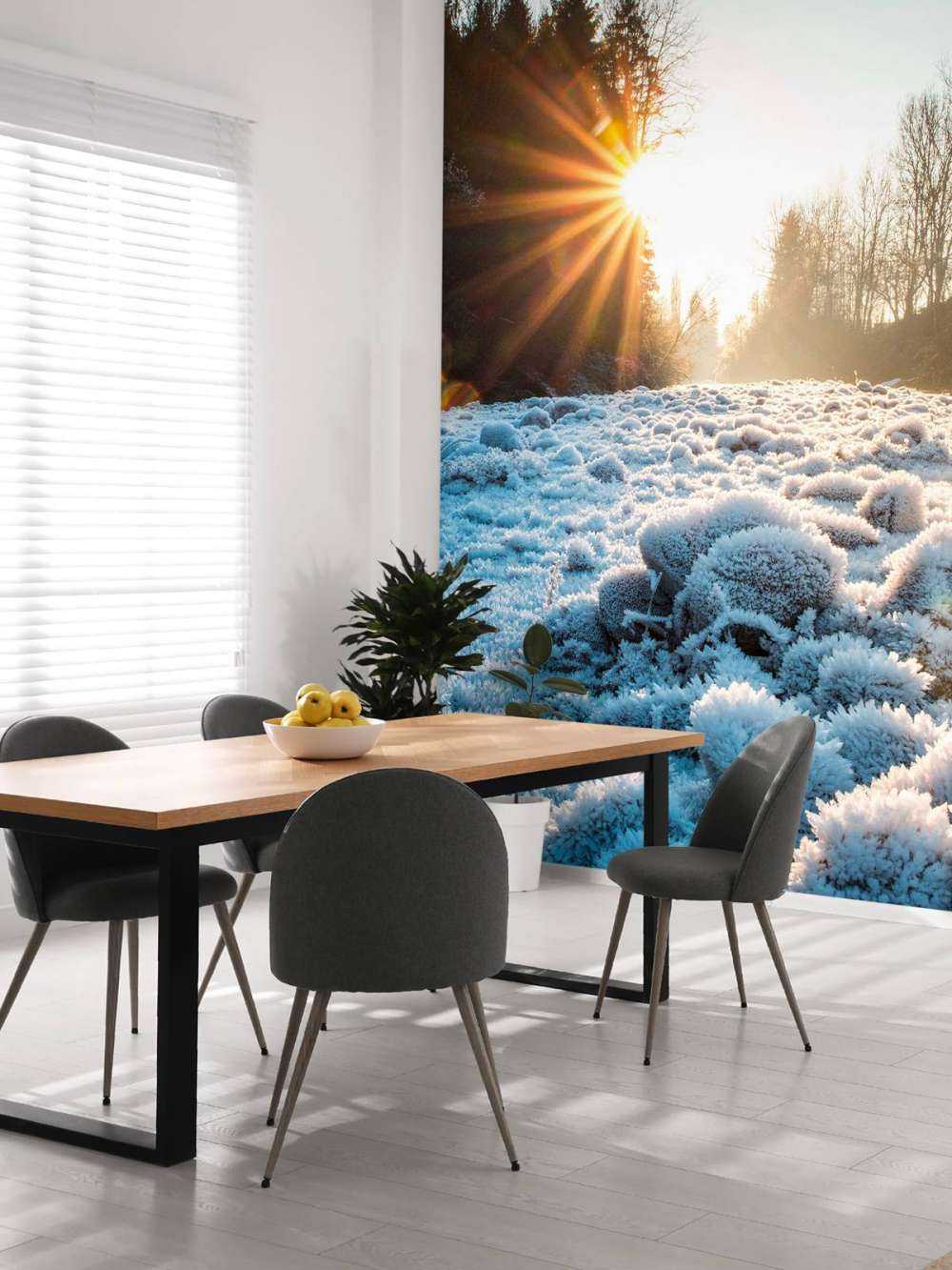 Matin glacial dans la forêt d'hiver