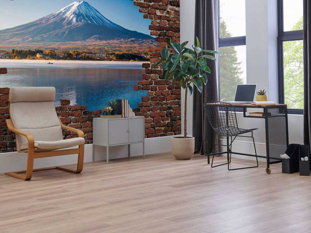 Vue sur le mont Fuji