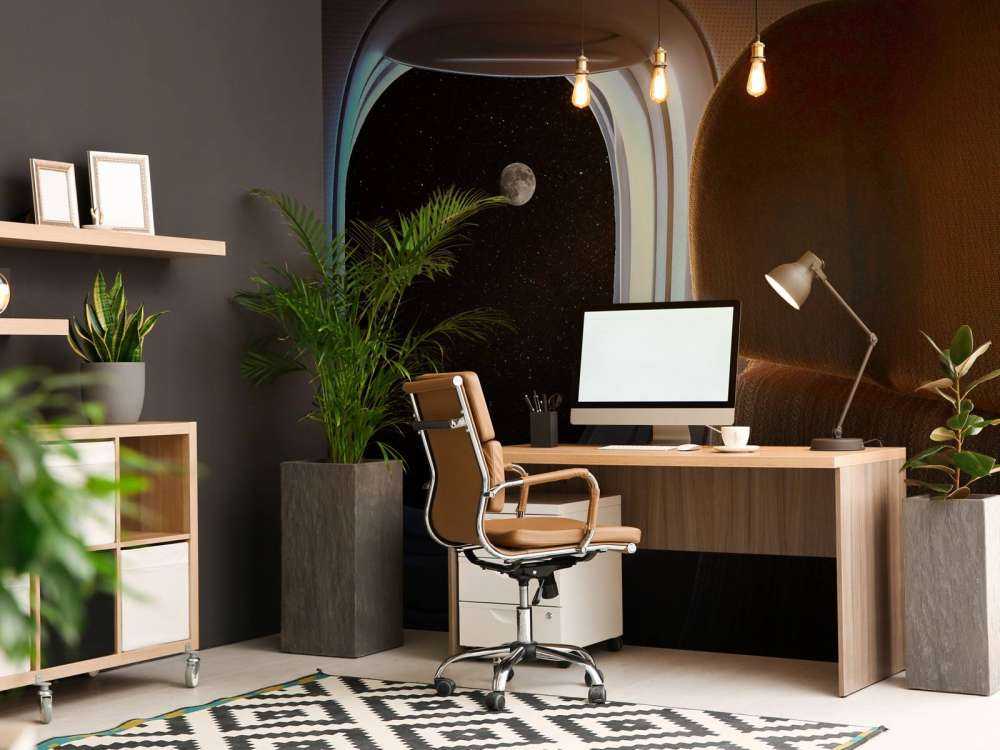 Vol de nuit sous le ciel étoilé