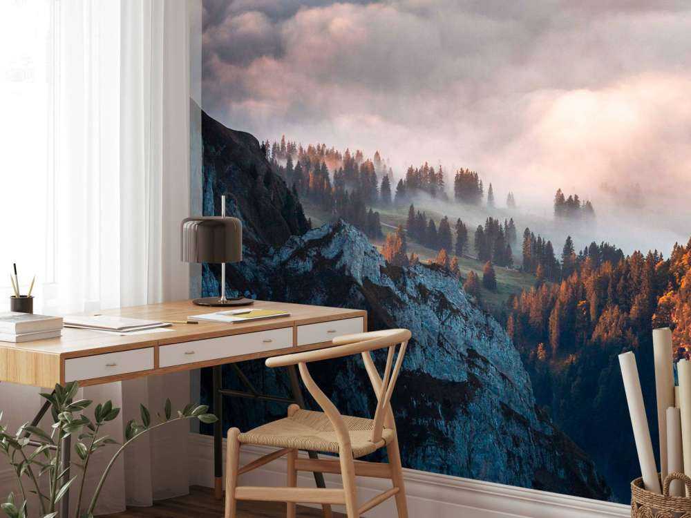 Lisière de forêt dans la brume du matin.