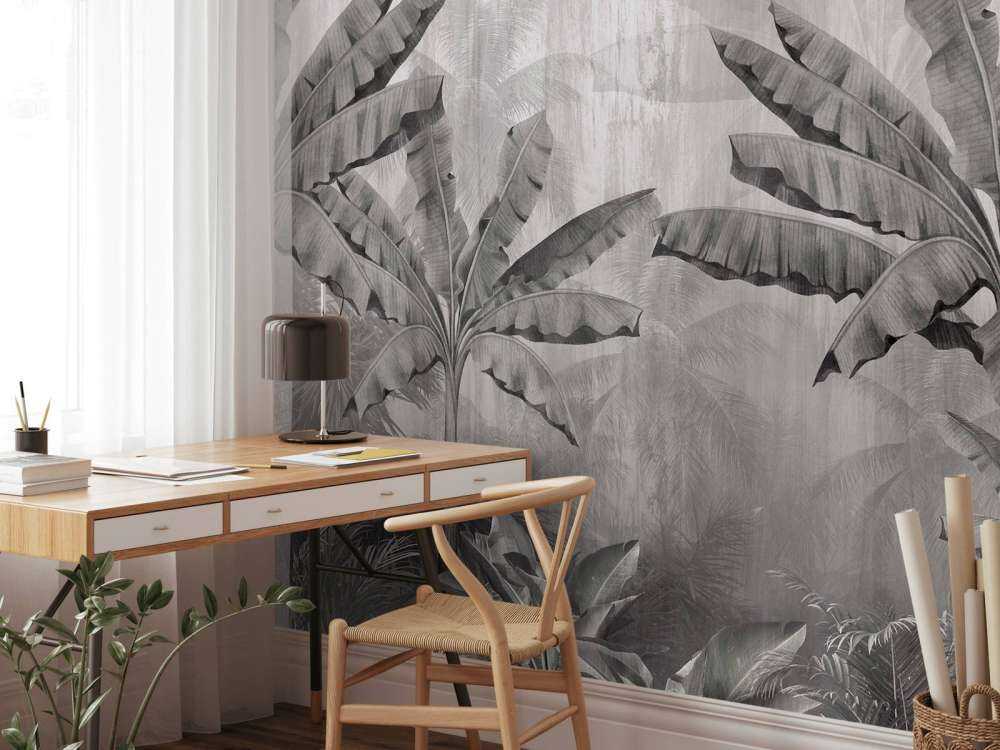 Palmiers de brouillard tropicaux