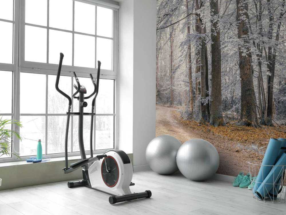 arbres avec des feuilles blanches