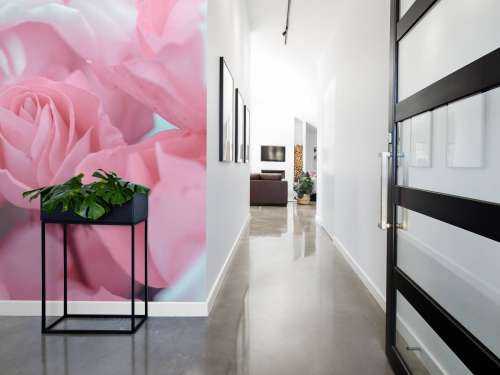 Fleurs de roses