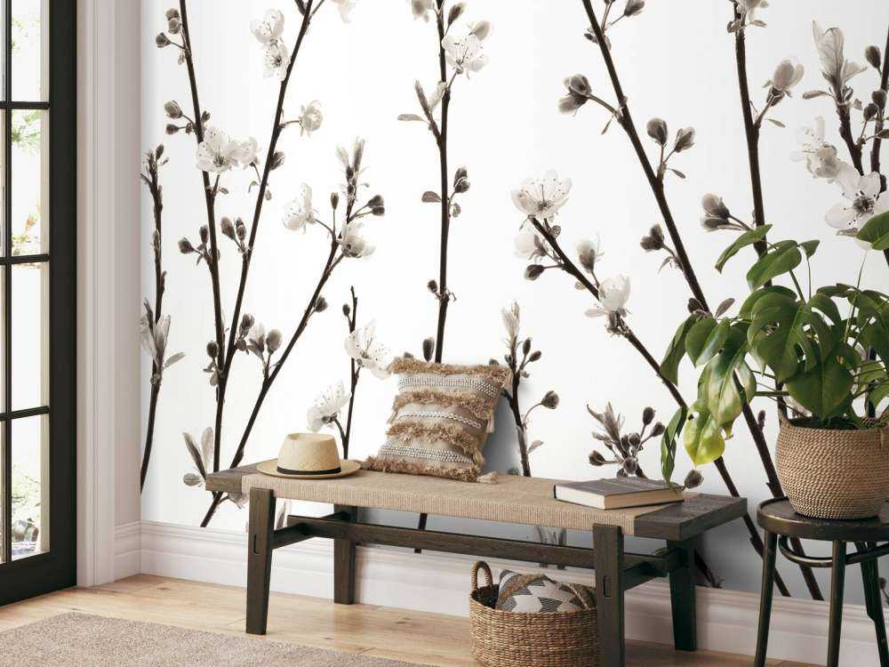 Branches de fleurs de cerisier