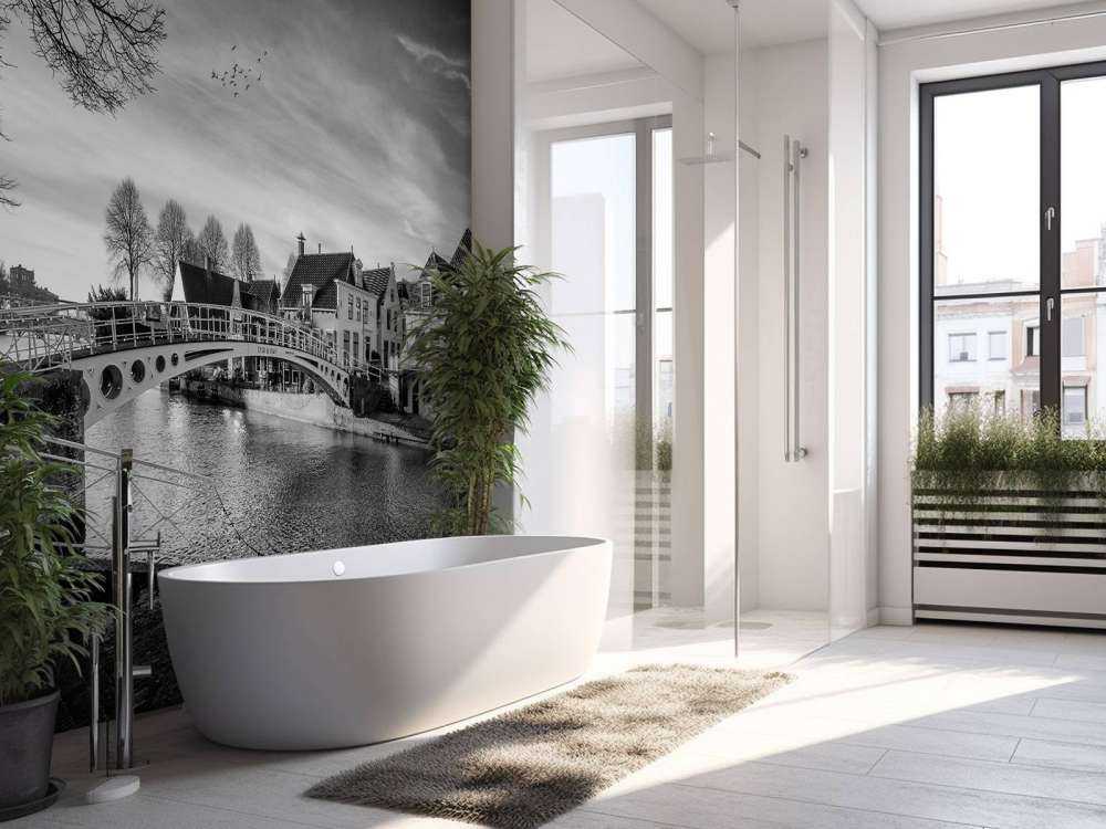 Ville fortifiée de Dokkum Pont sur le Klein Diep Frise 