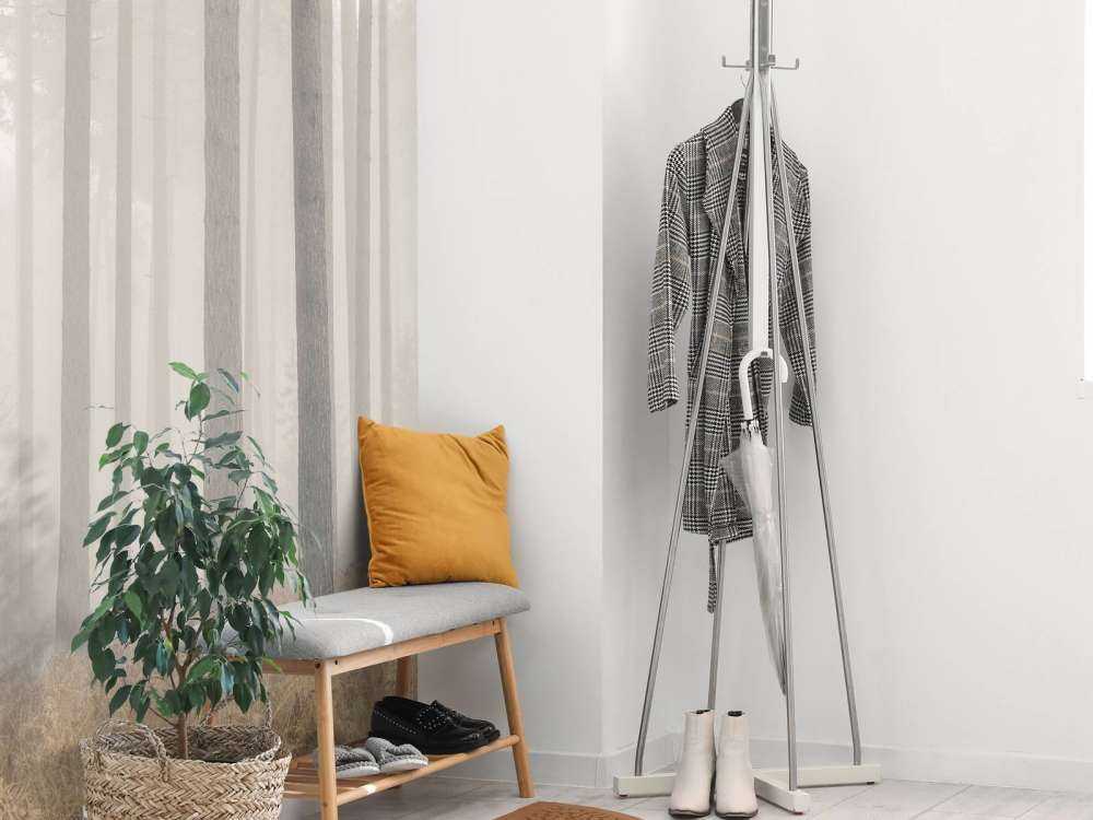 Forêt brumeuse mystérieuse