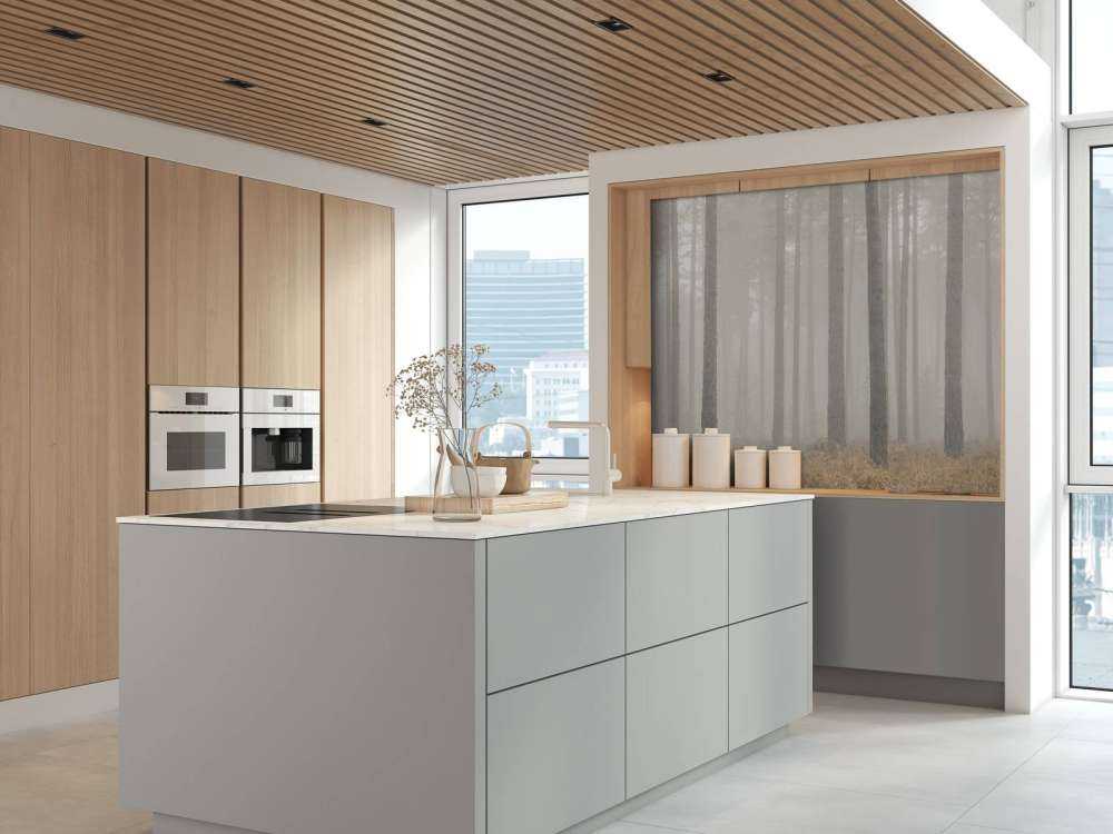 Forêt brumeuse mystérieuse