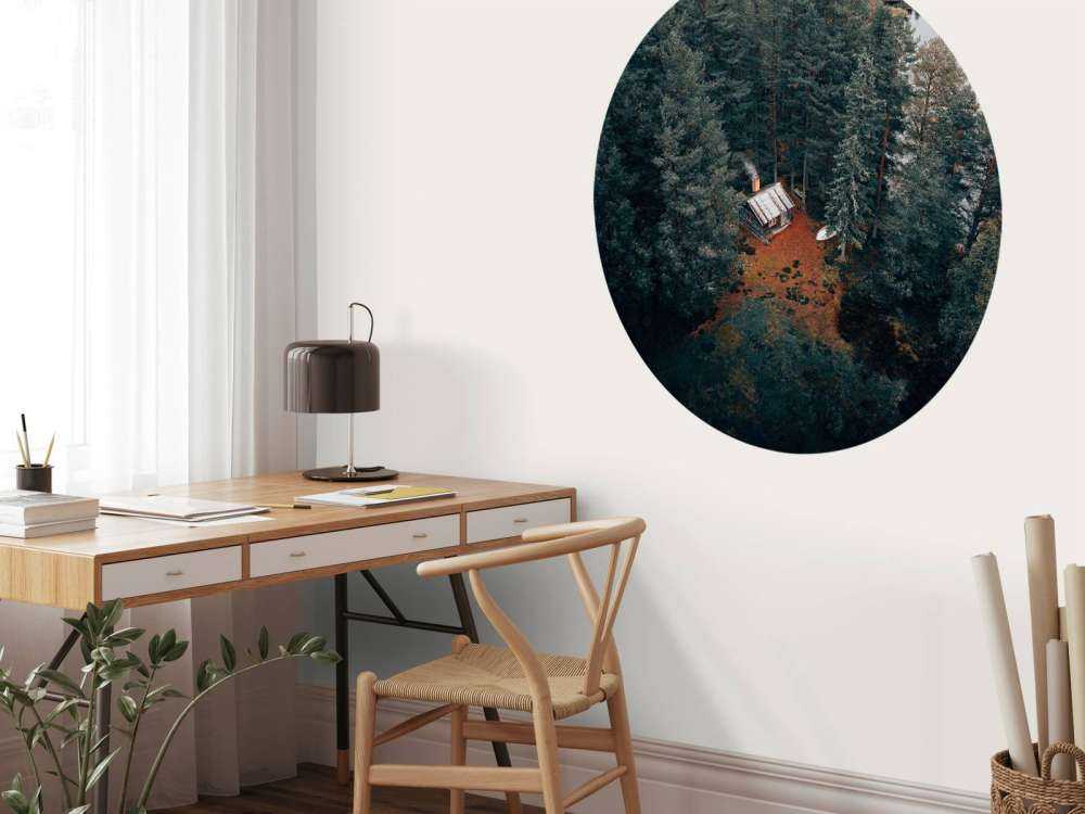 Cabane entourée de forêts et de lacs