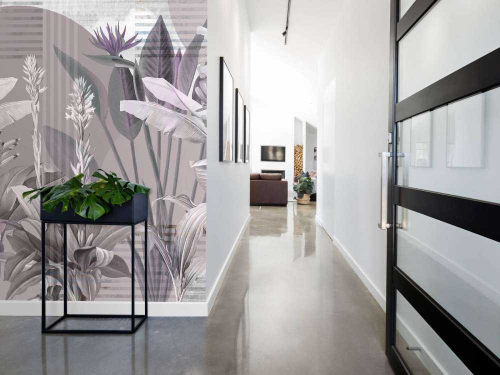 Dreams and Tropics 1