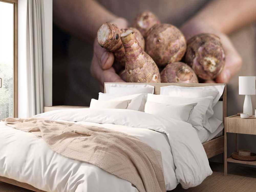 Produits de la terre