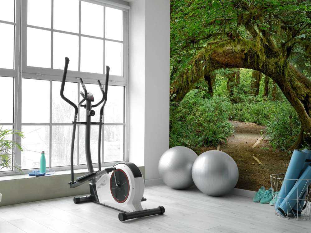 Arbre dans une arche