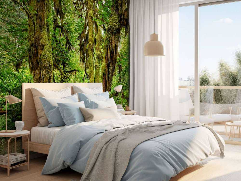 Ancienne forêt sauvage