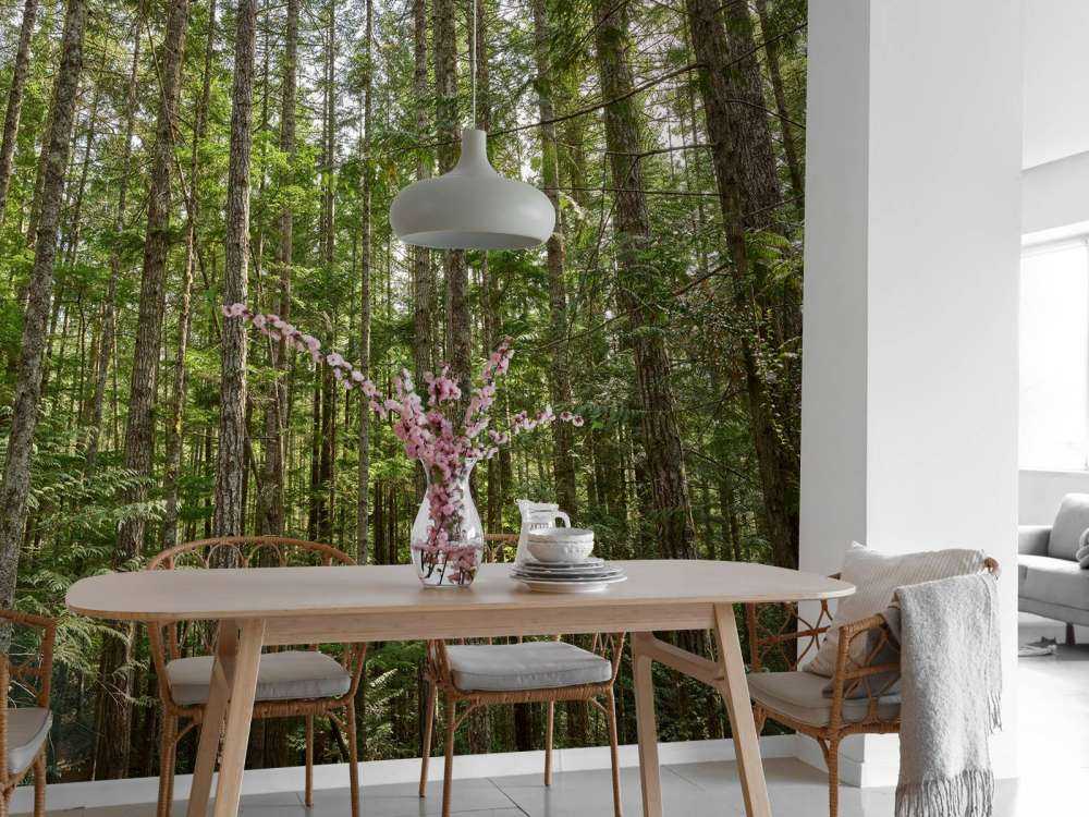 Arbres minces dans la forêt