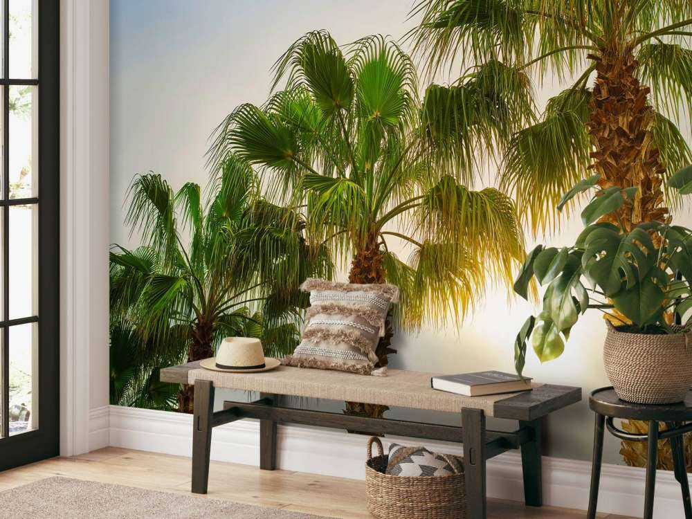 Des palmiers au soleil