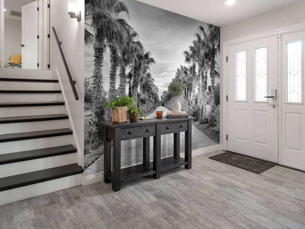 Rue avec des palmiers