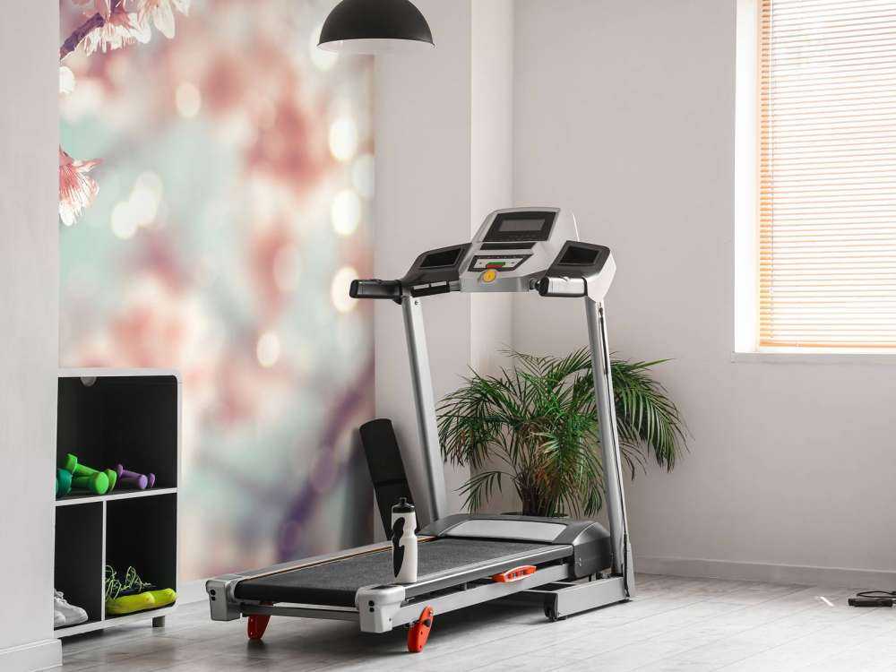 Gros plan sur la branche fleurie