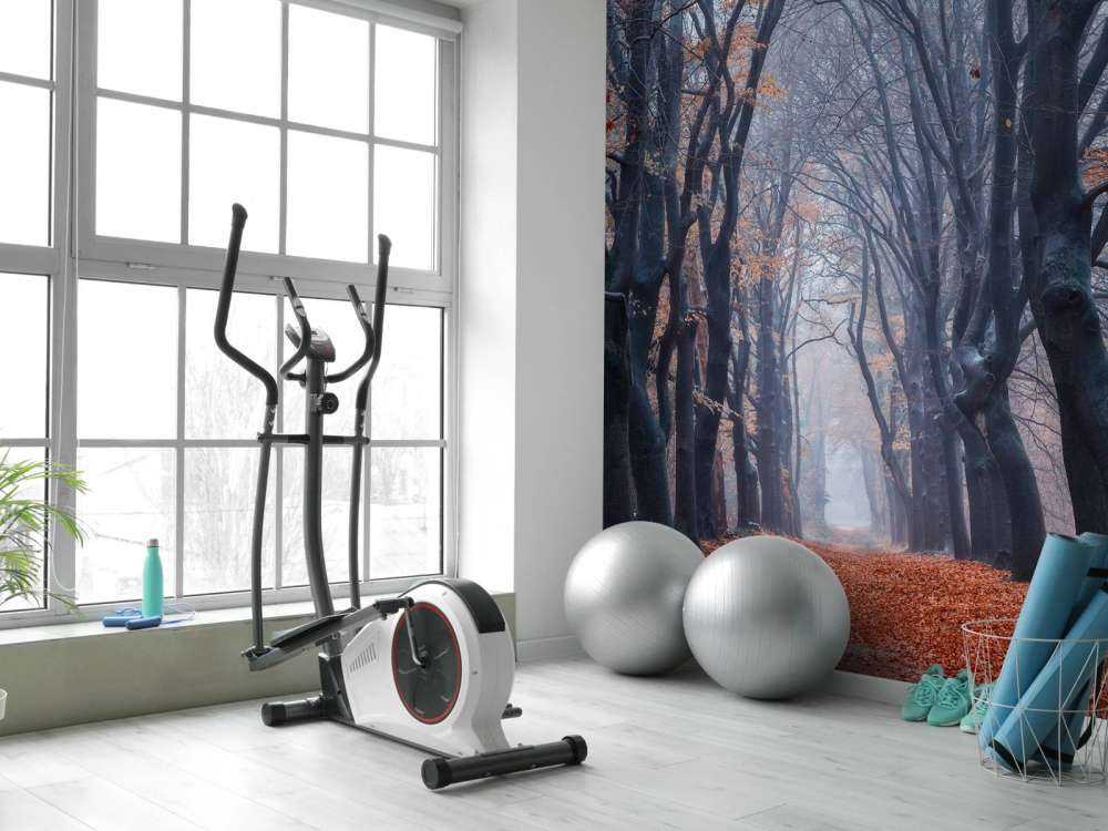 Chemin forestier avec des feuilles