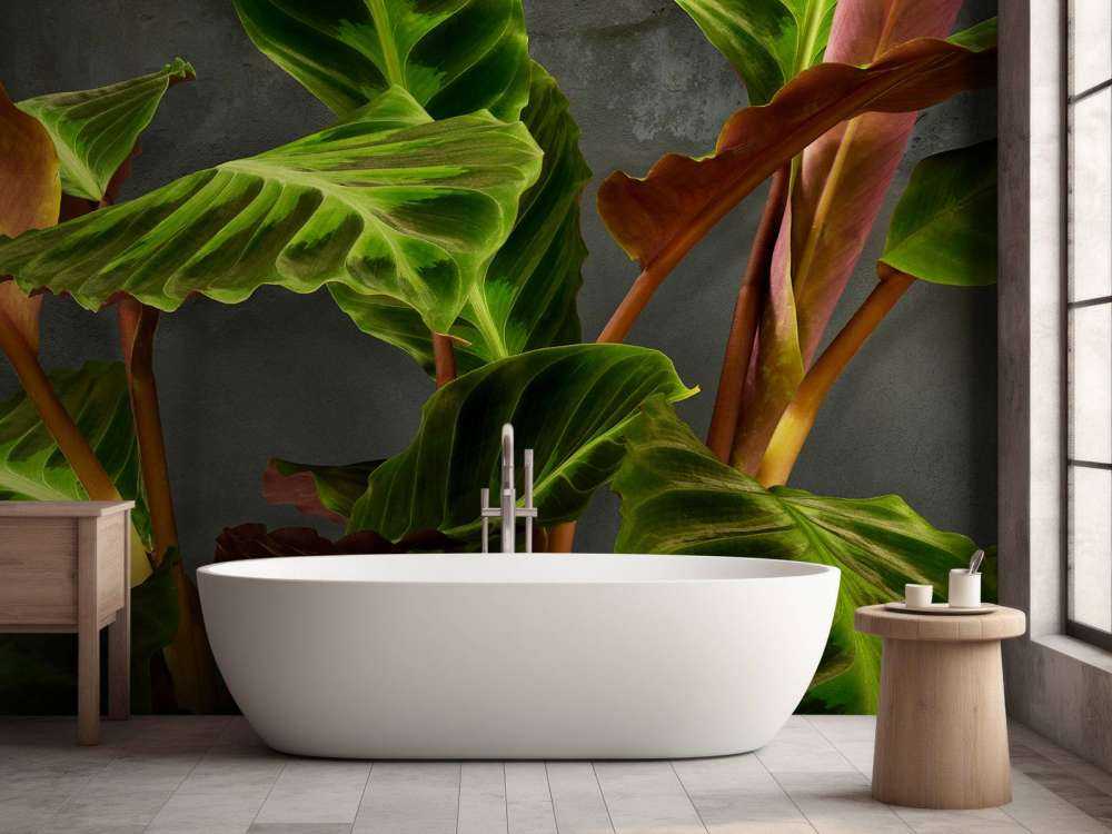 Plante avec de belles feuilles vertes
