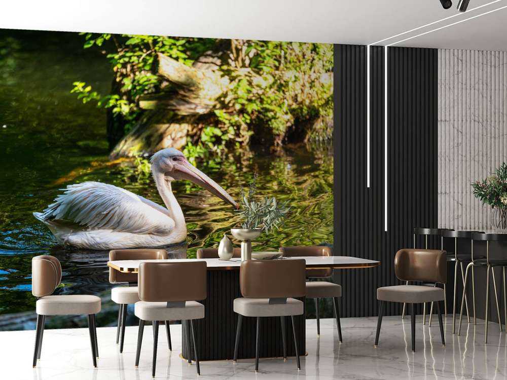 Pélican sur la rivière