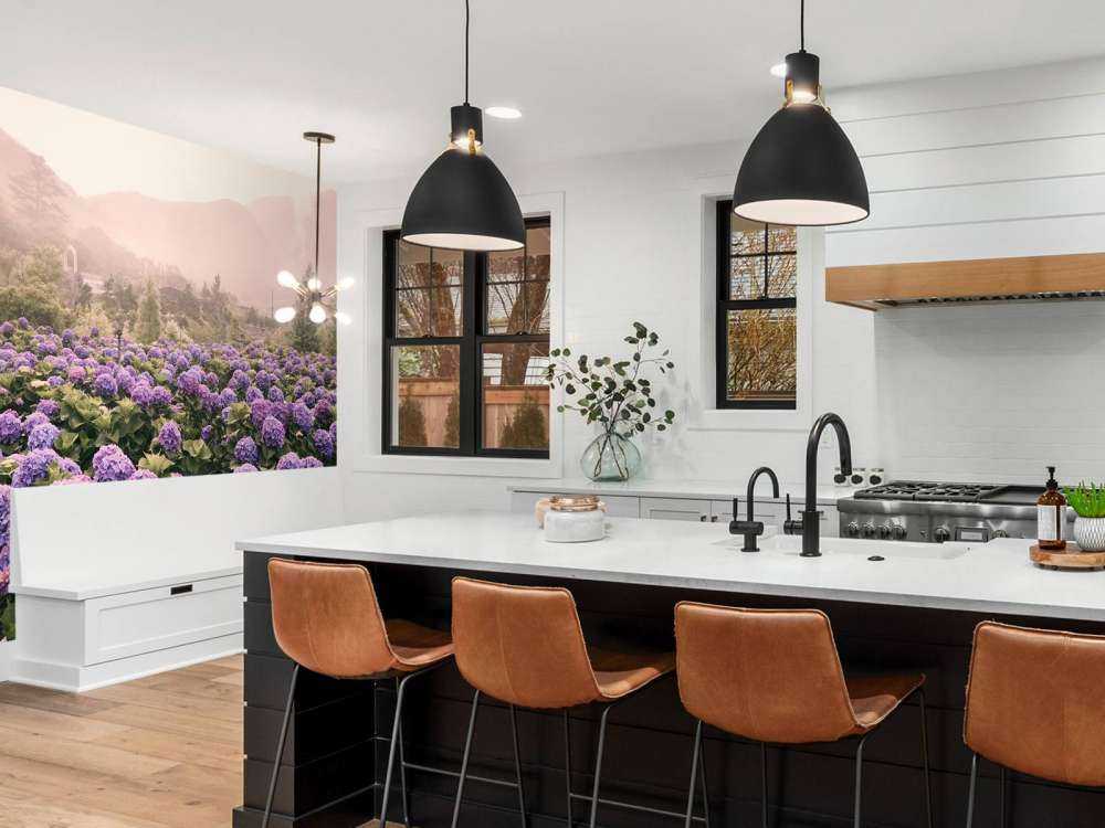 Hortensias à Beitou