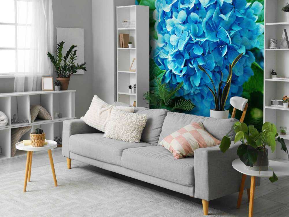 Hortensia dans l'eau