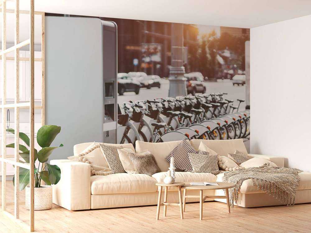 Vélos électriques à louer