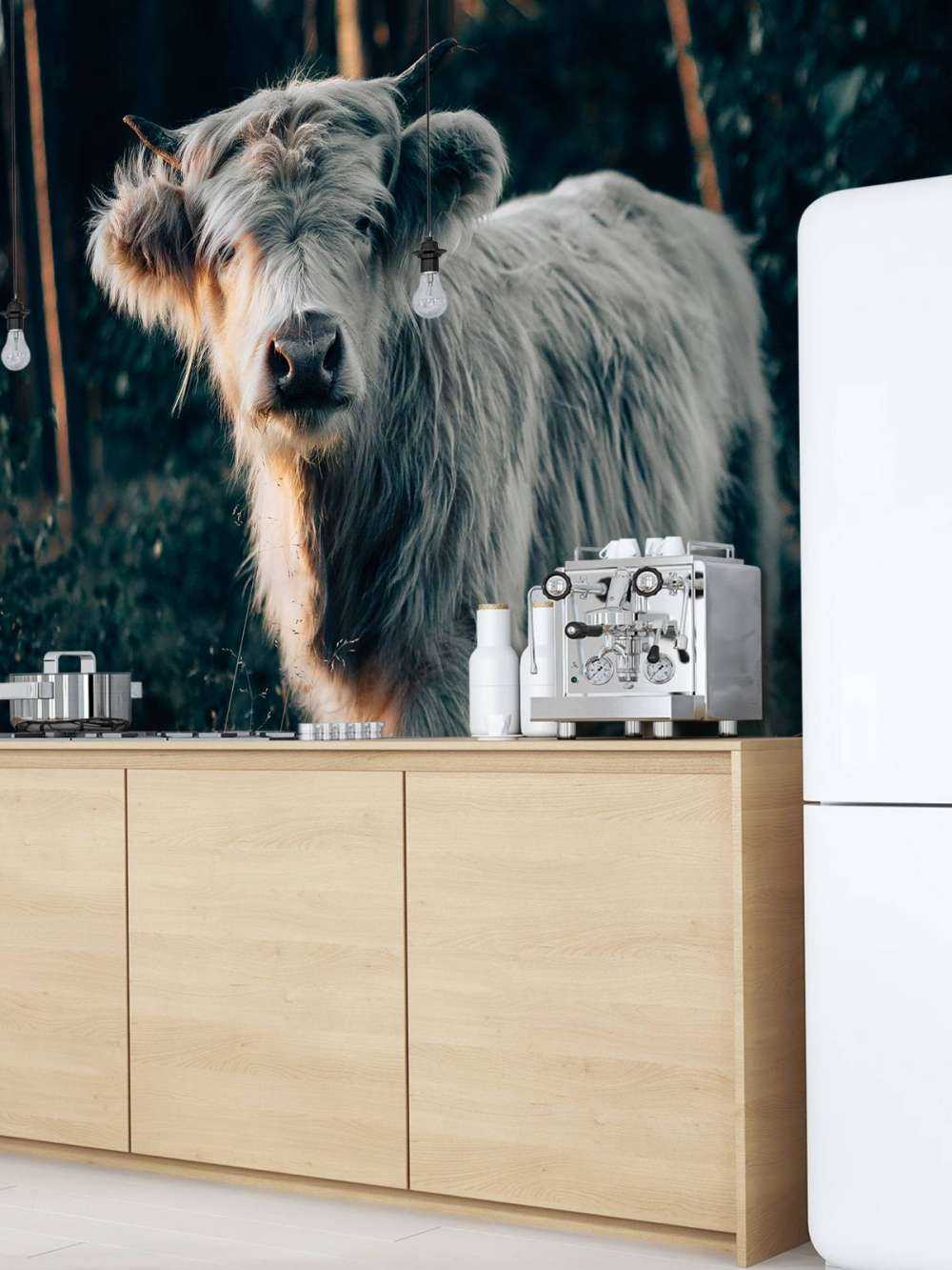 Louveteau écossais Highlander