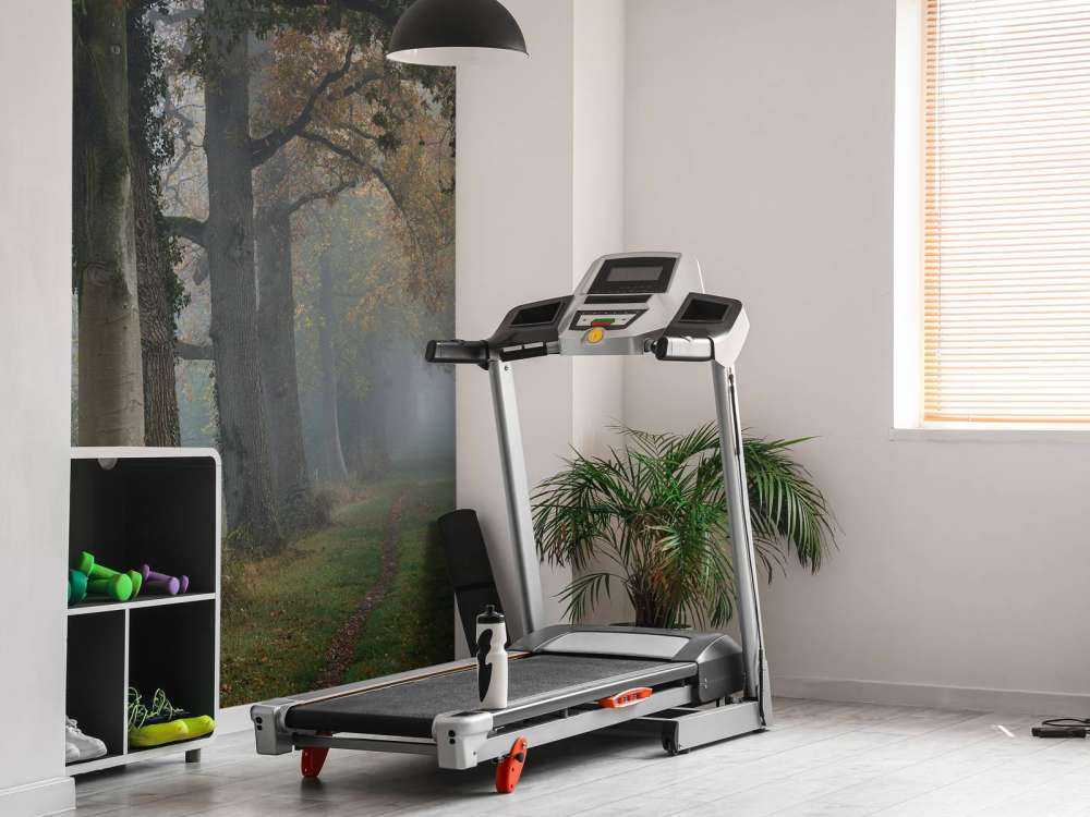 Allée avec des arbres dans le brouillard