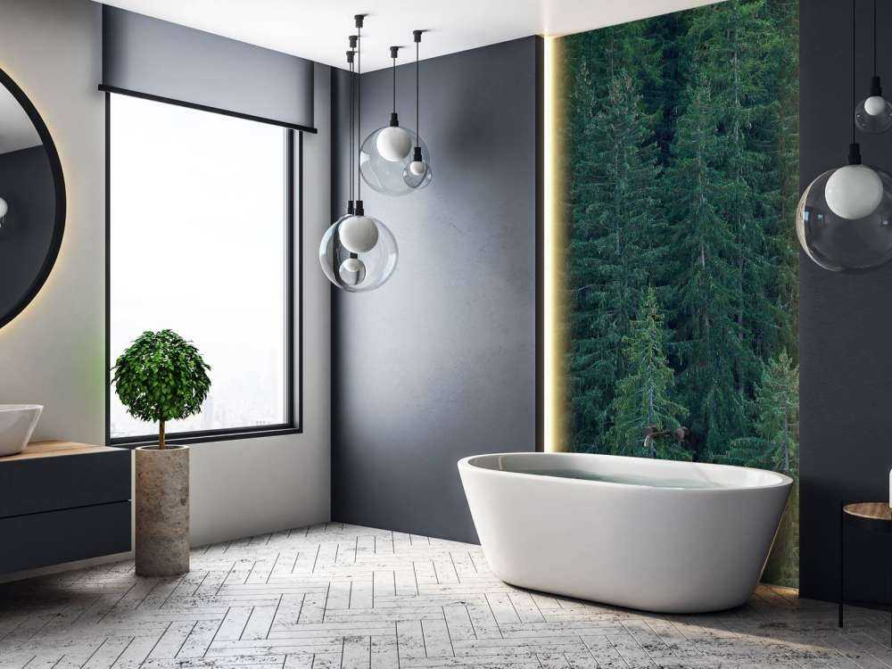 Conifères avec pommes de pin