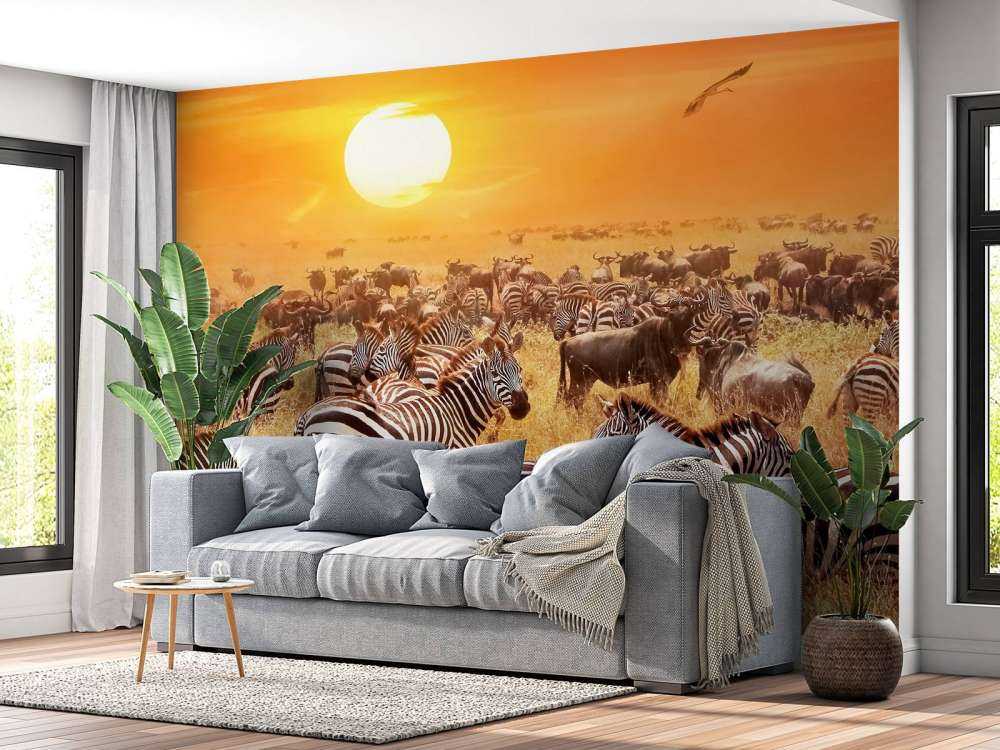 Soleil de la savane avec des zèbres