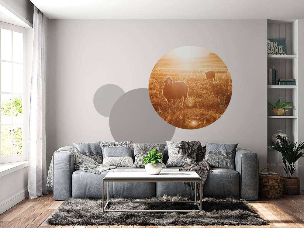 Moutons dans un beau pâturage