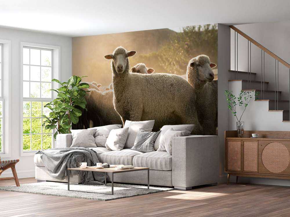 Troupeau de moutons à l'heure dorée