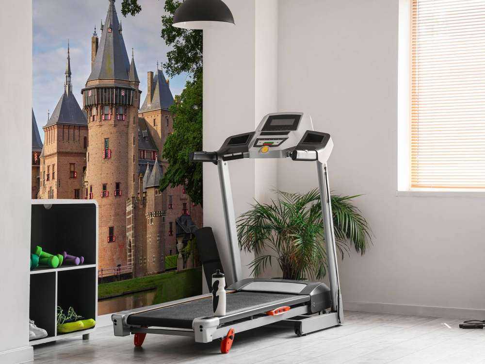 Château de Haar depuis le jardin