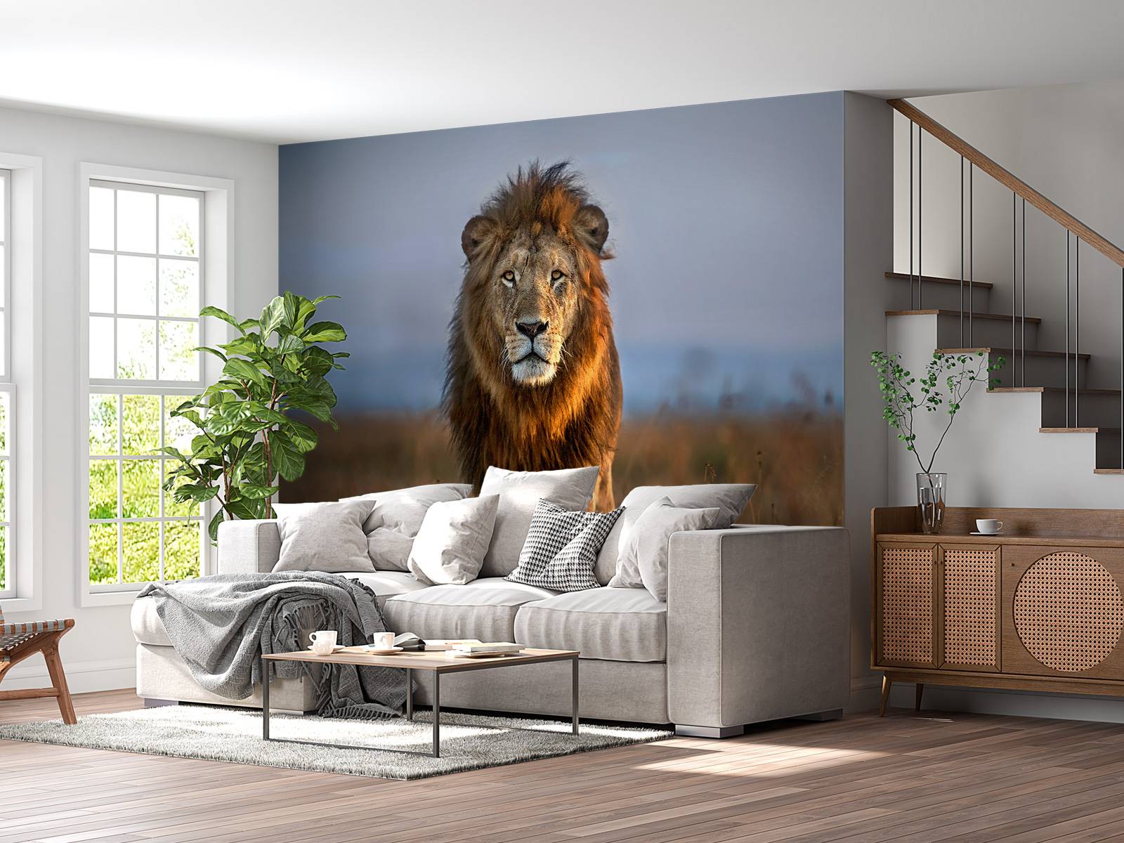Lion Close Up
