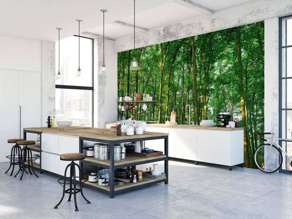 Forêt verte avec lumière du soleil