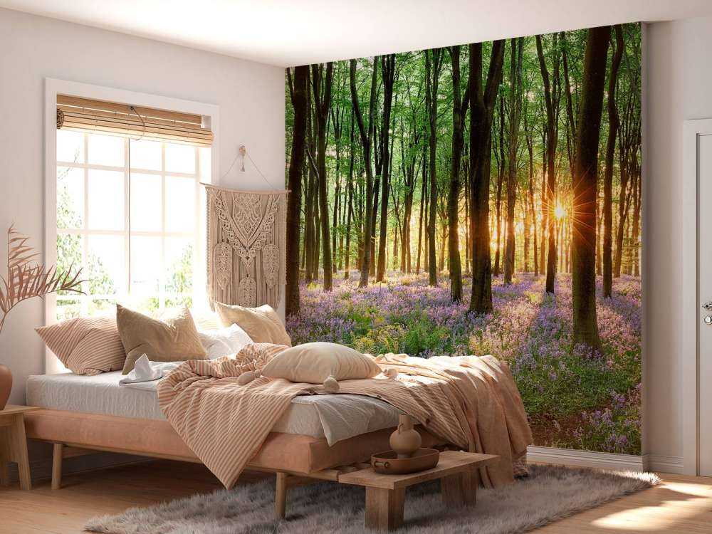 Chemin forestier au lever du soleil