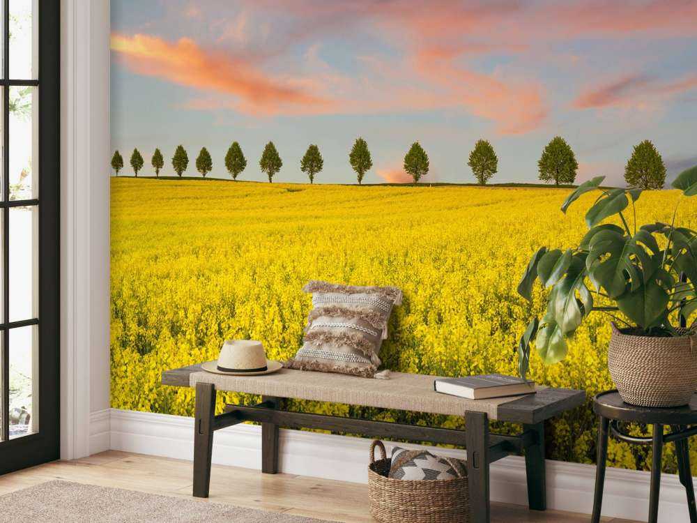 Champ plein de fleurs jaunes