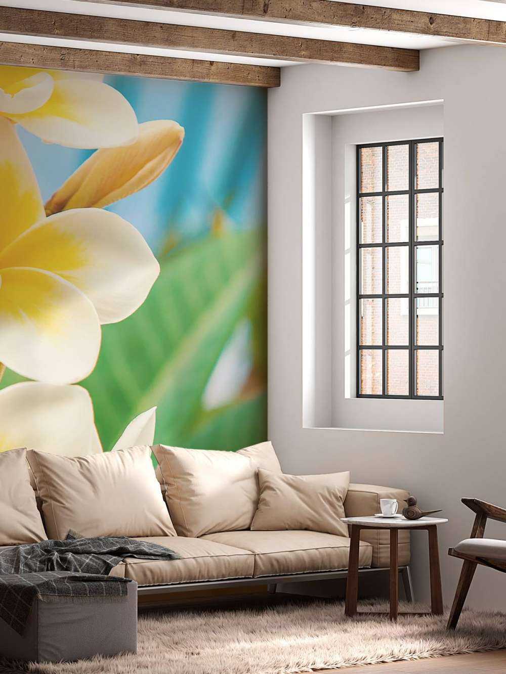 Fleur de plumeria blanc jaune