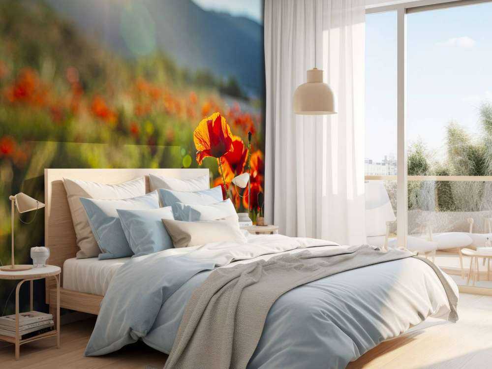 Coquelicots avec rayons de soleil