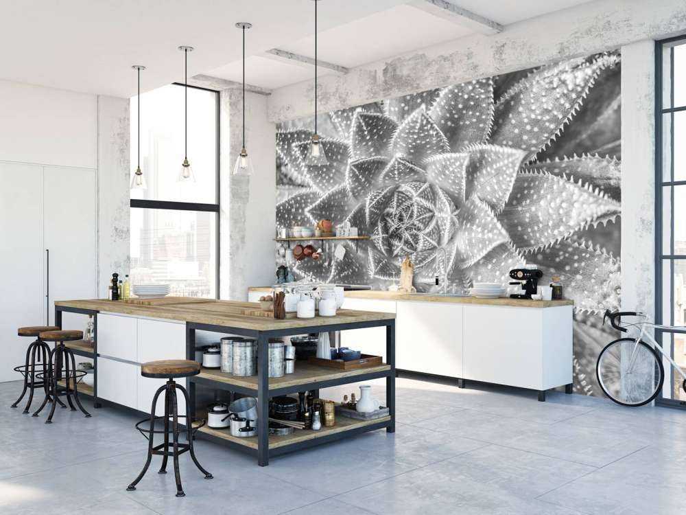 Succulente en noir et blanc