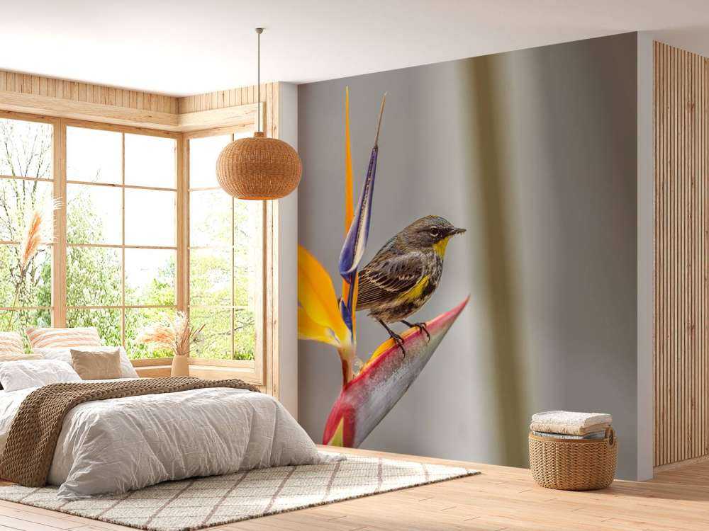 Fleur de paradis avec oiseau