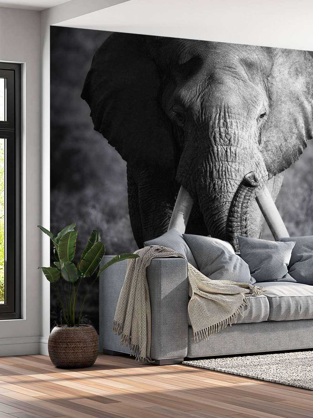 éléphant d'Afrique