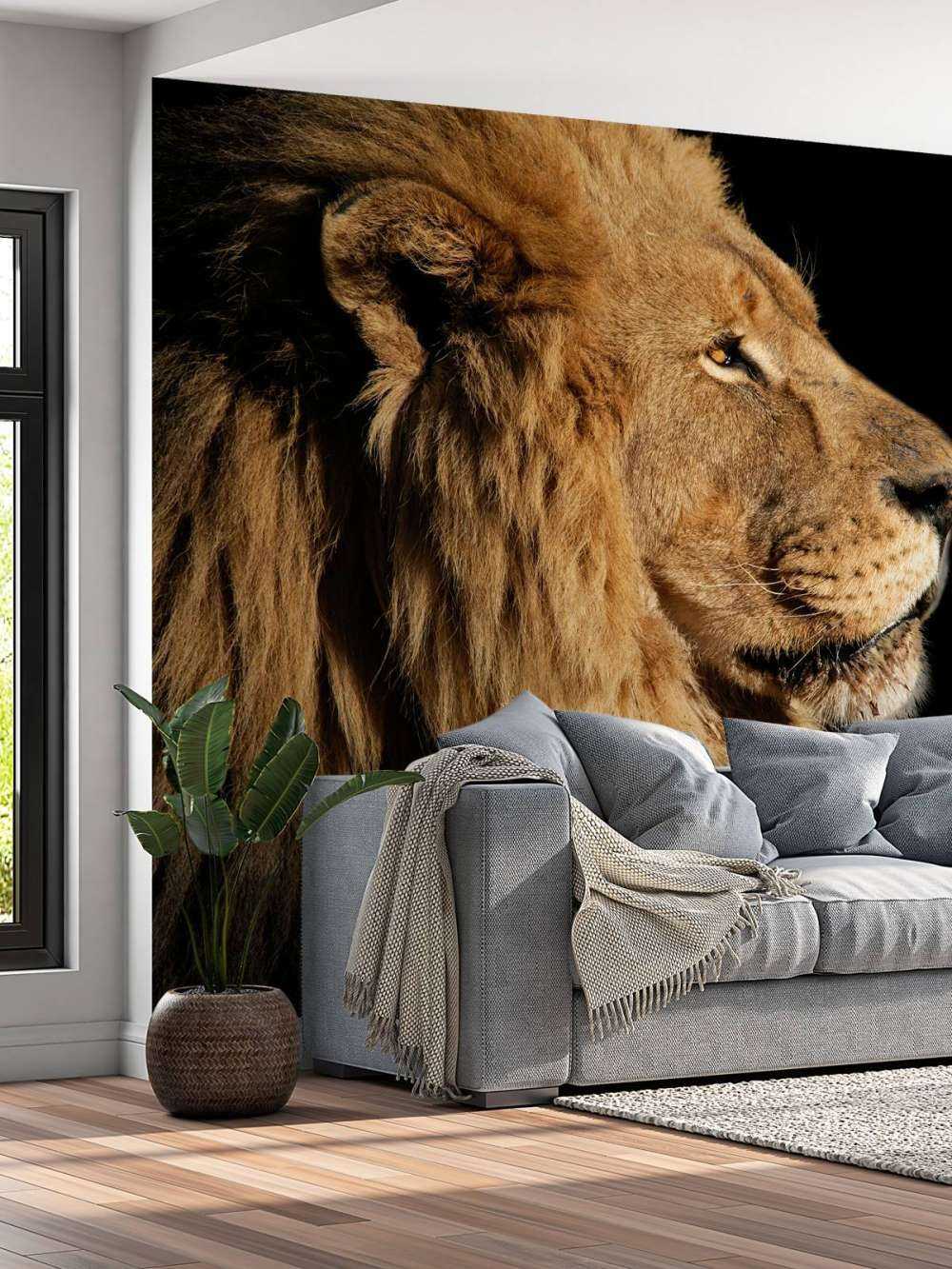 Profil latéral d'un lion