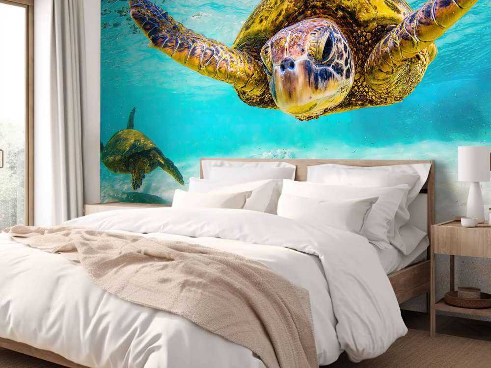 Tortue de mer dans l'océan
